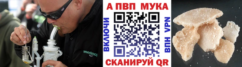 А ПВП крисы CK Дагестанские Огни