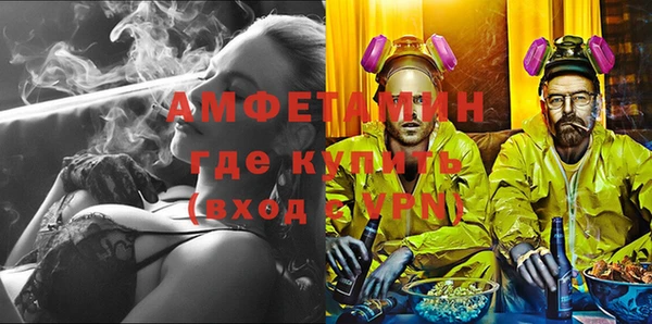 сатива Беломорск