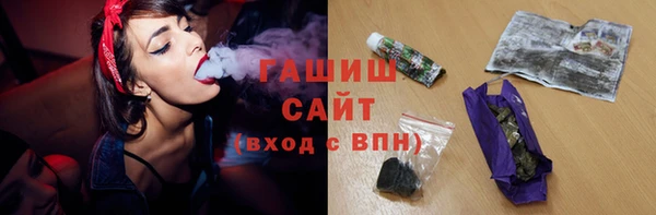 сатива Беломорск