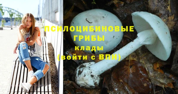 сатива Беломорск