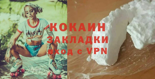 сатива Беломорск