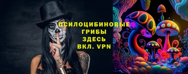 сатива Беломорск