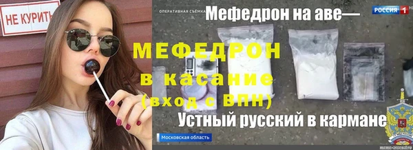 сатива Беломорск